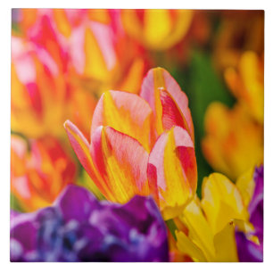 Tulips Enchanting Ceramic Tile