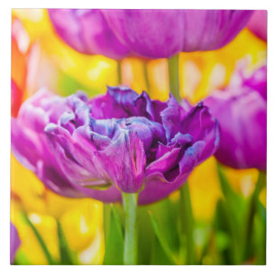Tulips Enchanting Dark Pink Ceramic Tile