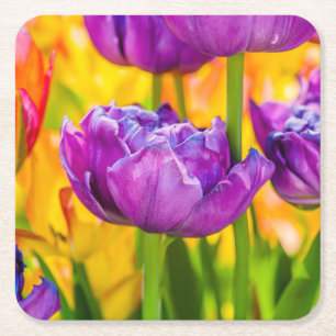 Tulips Enchanting Deep Pink Square Paper Coaster