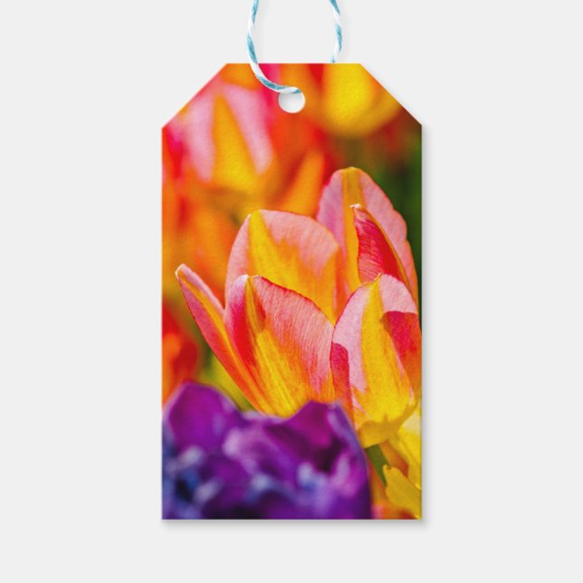 Tulips Enchanting Gift Tags (Front)