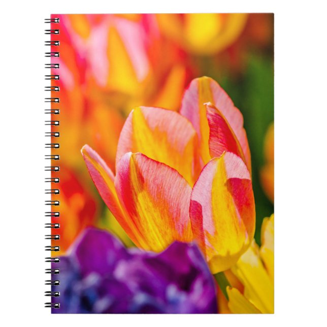 Tulips Enchanting Notebook (Front)