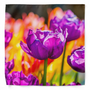 Tulips Enchanting Purple Bandana