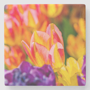 Tulips Enchanting Stone Coaster