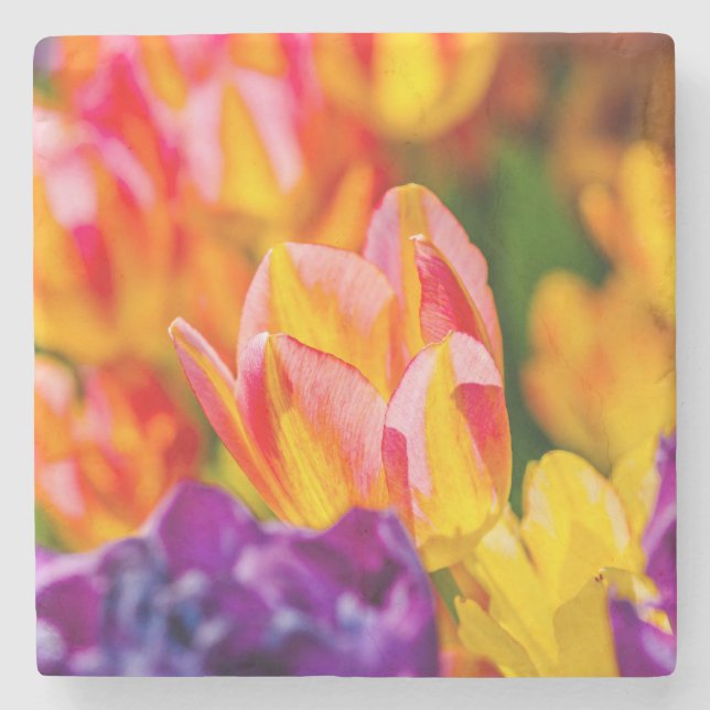 Tulips Enchanting Stone Coaster (Front)