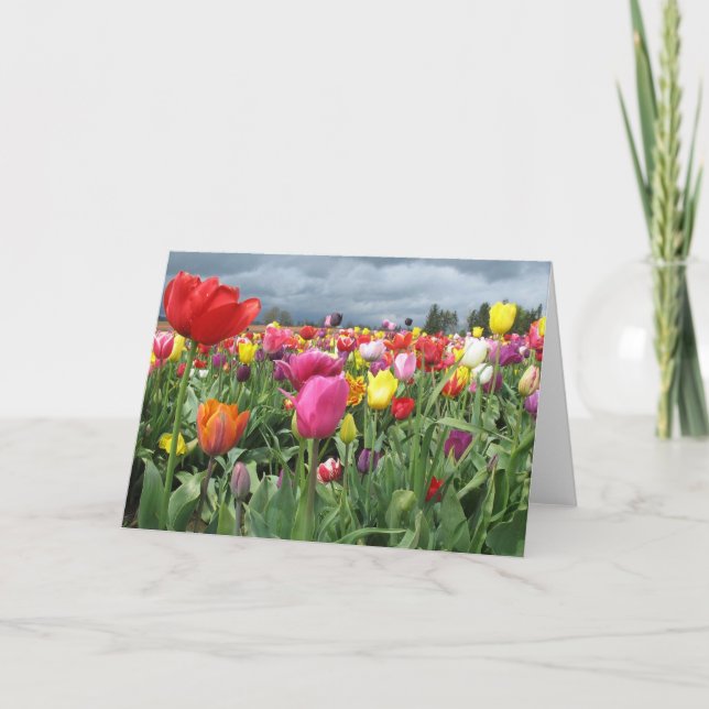 Tulips Field Card (Front)