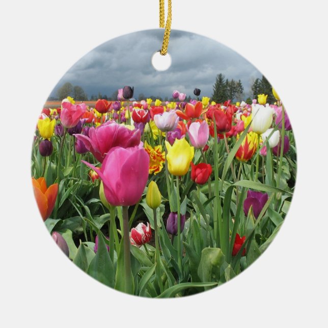 Tulips Field Ornament (Front)