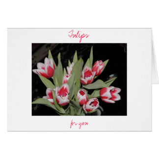 Tulips For You