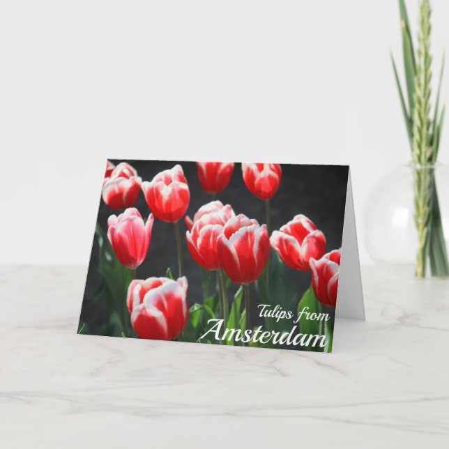 Tulips from Amsterdam Card (Front)