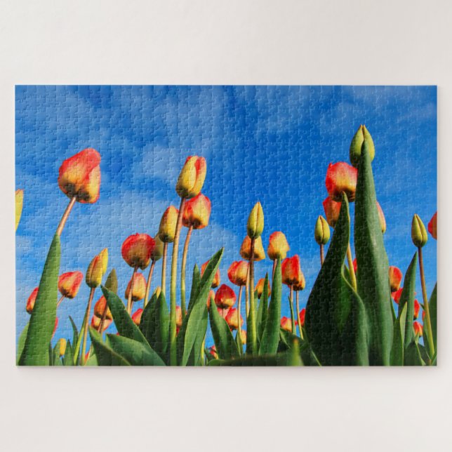 Tulips from Amsterdam. Jigsaw Puzzle (Horizontal)