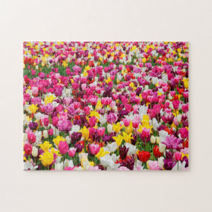 Tulips from Amsterdam. Jigsaw Puzzle