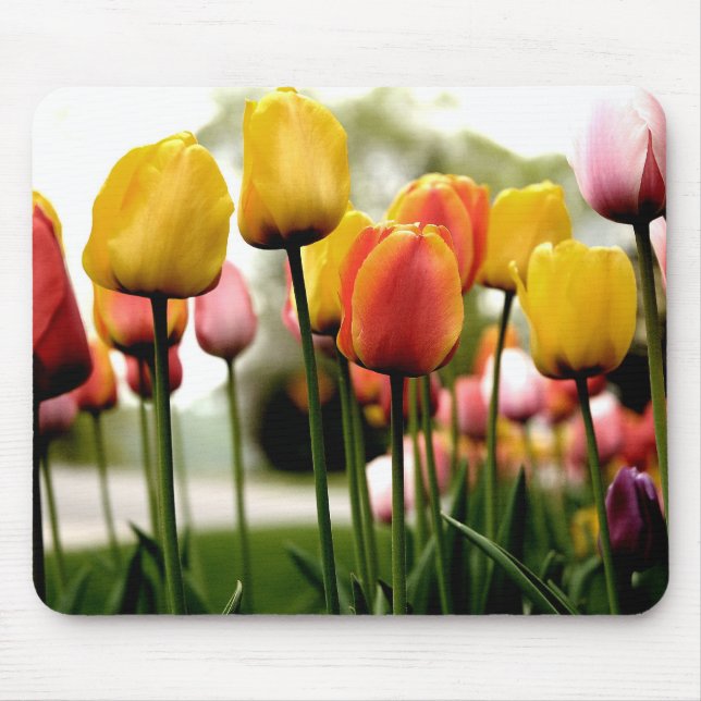 Tulips from Kelsy Mouse Pad (Front)