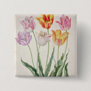 Tulips, from the 'Nassau Florilegium' (w/c on pape 15 Cm Square Badge