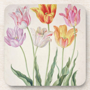 Tulips, from the 'Nassau Florilegium' (w/c on pape Coaster