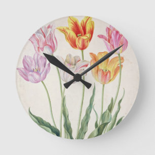 Tulips, from the 'Nassau Florilegium' (w/c on pape Round Clock