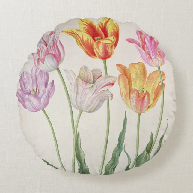 Tulips, from the 'Nassau Florilegium' (w/c on pape Round Cushion (Front)
