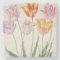 Tulips, from the 'Nassau Florilegium' (w/c on pape