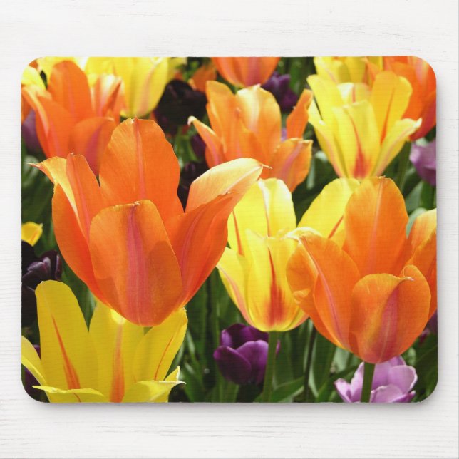 Tulips Galore Mouse Pad (Front)