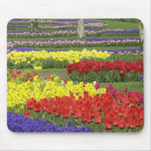 Tulips, Grape Hyacinth, and Daffodils, 2 Mouse Pad
