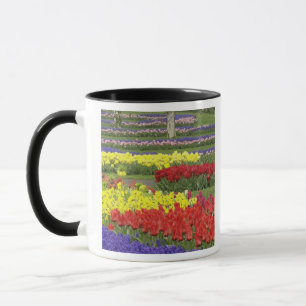 Tulips, Grape Hyacinth, and Daffodils, 2 Mug