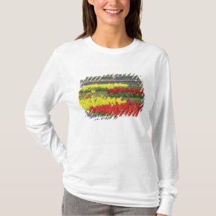 Tulips, Grape Hyacinth, and Daffodils, 2 T-Shirt