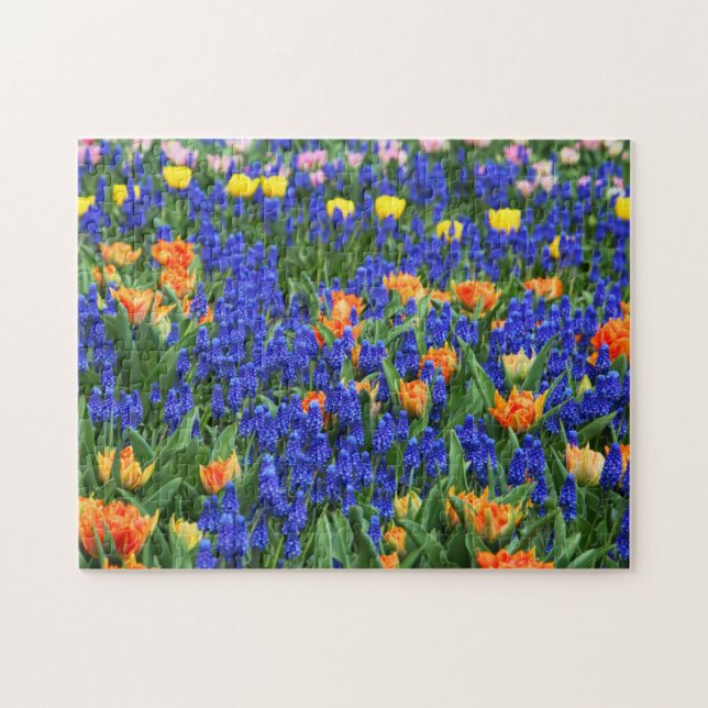 Tulips Grape Hyacinth Flower Field Colourful Jigsaw Puzzle (Horizontal)