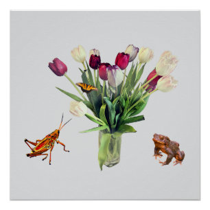 Tulips, Grasshopper, Butterfly, and Frog Poster
