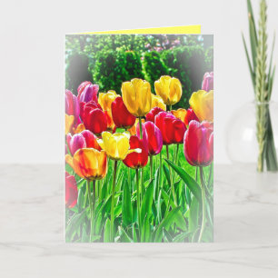 Tulips Greeting Card