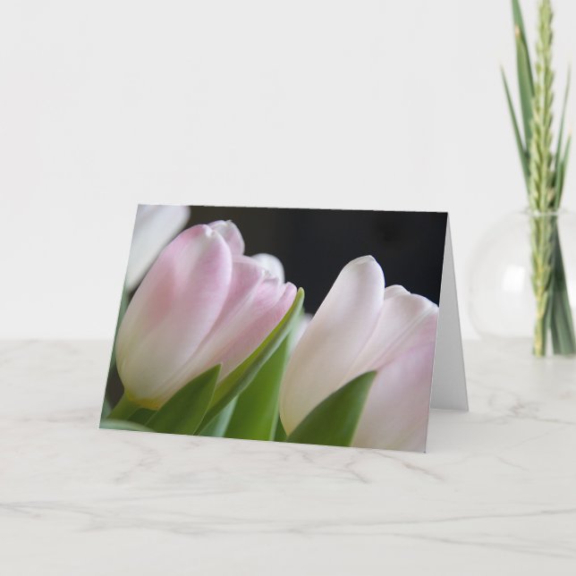 Tulips • Greeting Card (Front)
