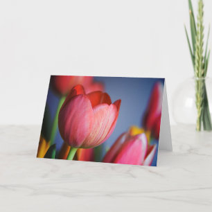 Tulips • Greeting Card