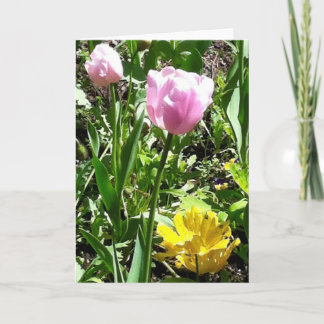 Tulips greeting card