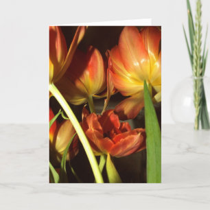 Tulips greetings card
