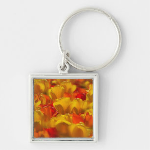 Tulips in Keukenhof Gardens, Amsterdam, 2 Key Ring