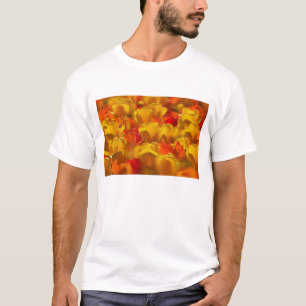 Tulips in Keukenhof Gardens, Amsterdam, 2 T-Shirt