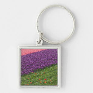 Tulips in Keukenhof Gardens, Amsterdam, 3 Key Ring