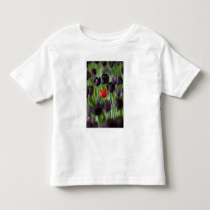 Tulips in Keukenhof Gardens, Amsterdam, Toddler T-Shirt