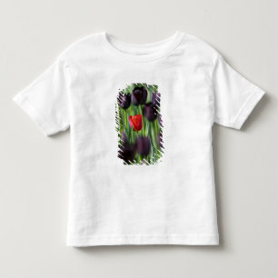 Tulips in Keukenhof Gardens, Amsterdam, Toddler T-Shirt