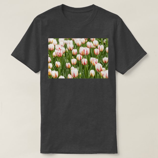 Tulips in spring time T-Shirt (Design Front)