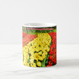 Tulips in sunshine in Holland Coffee Mug