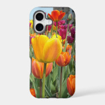 Tulips In The Breeze iPhone Case