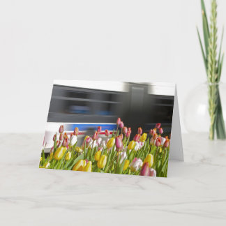 Tulips in the city wit card