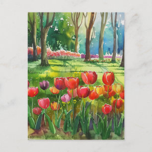 Tulips in The Park Postcard