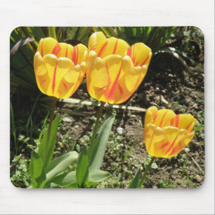 Tulips in the sun Mousepad