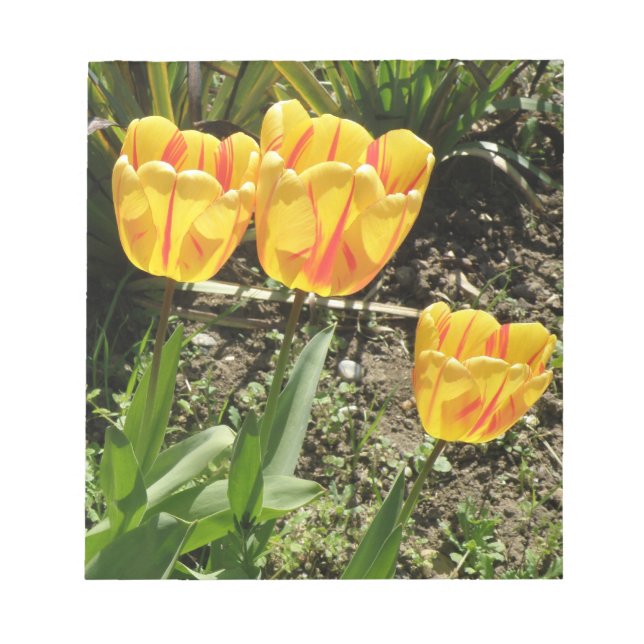 Tulips in the Sun Notepad (Front)