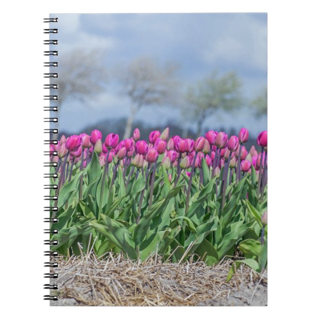 Tulips in the wind notebook (Front)