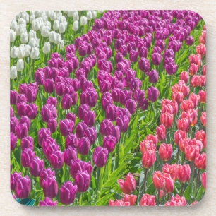 Tulips in three colours hard plastic coasters