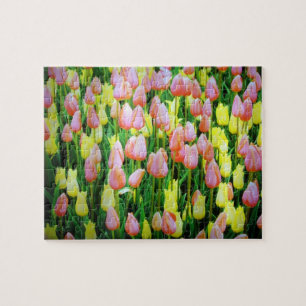 tulips jigsaw puzzle