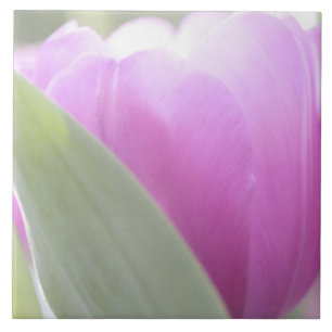 Tulips, Keukenhoff Gardens, Netherlands. 2 Ceramic Tile