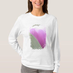 Tulips, Keukenhoff Gardens, Netherlands. 2 T-Shirt