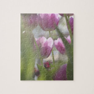 Tulips, Keukenhoff Gardens, Netherlands. Jigsaw Puzzle