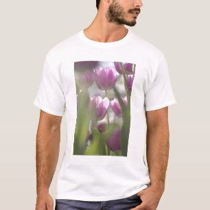 Tulips, Keukenhoff Gardens, Netherlands. T-Shirt